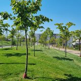 Titan, Theodor Pallady, Parcul Teilor, 50 mp, incalzire pardoseala, centrala